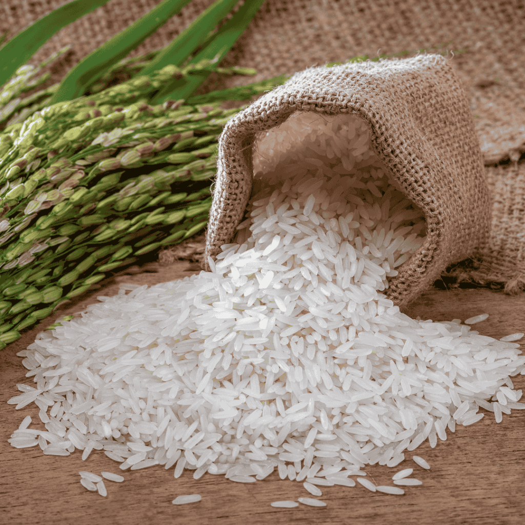 اصغری رایس خرید و فروش برنج ممتاز شمال در بابل
